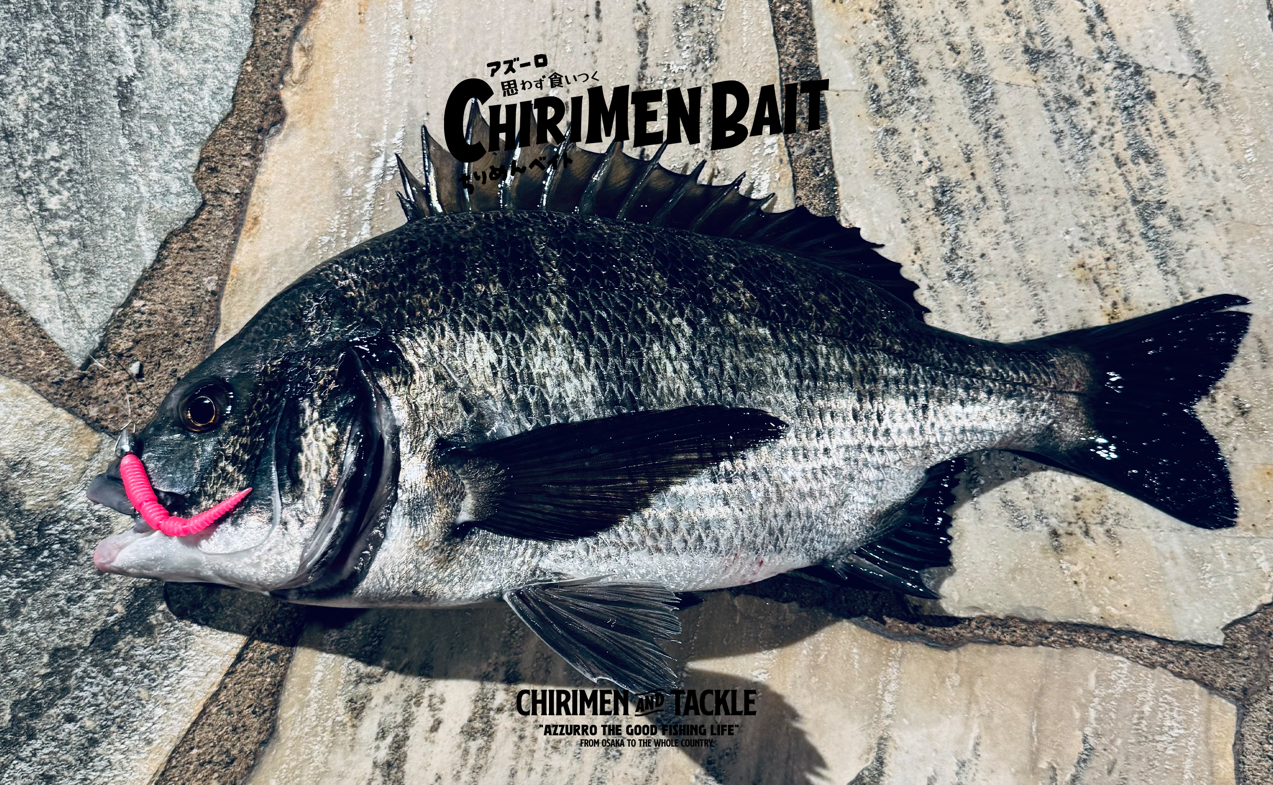 CHIRIMEN BAIT08