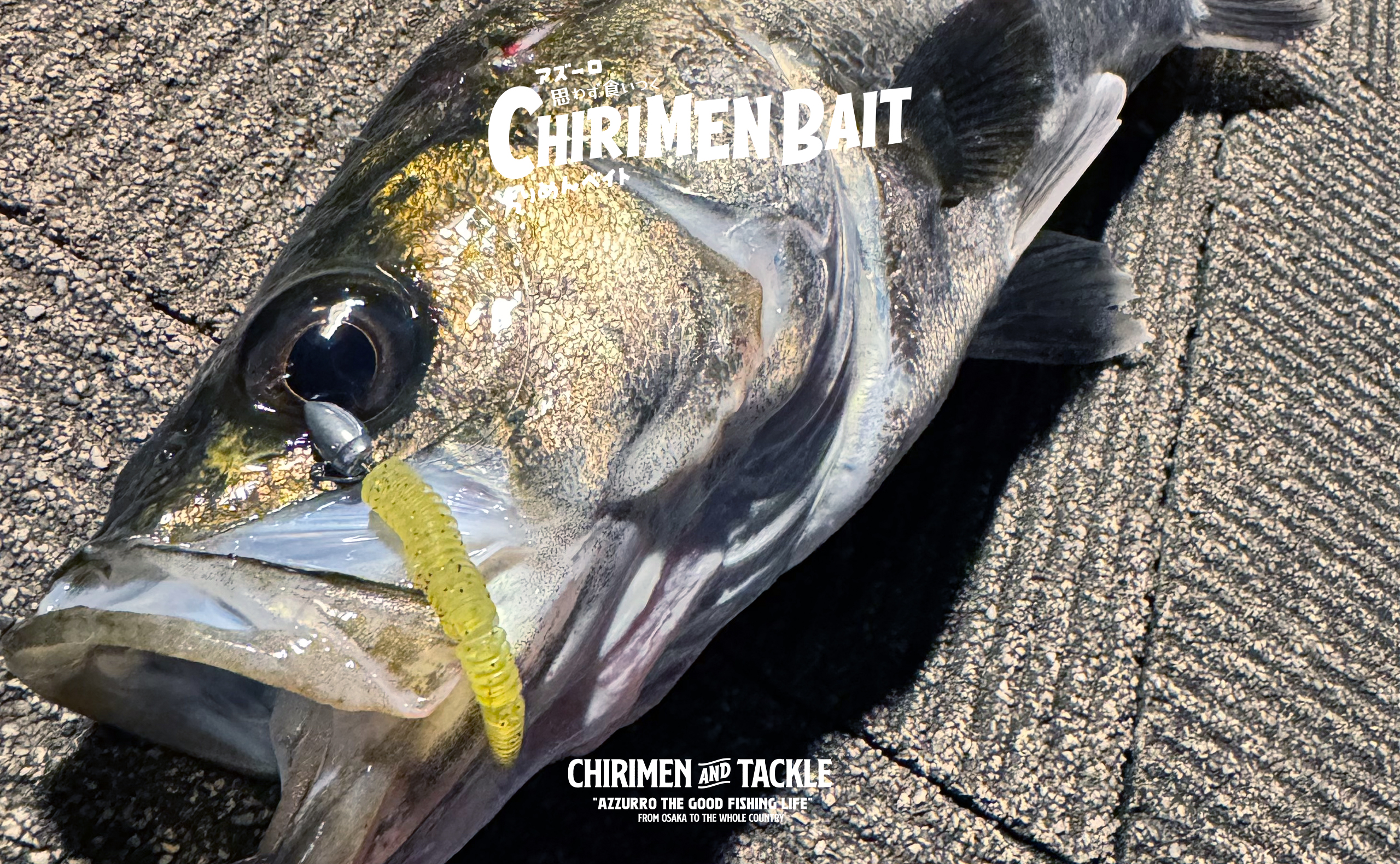 CHIRIMEN BAIT09
