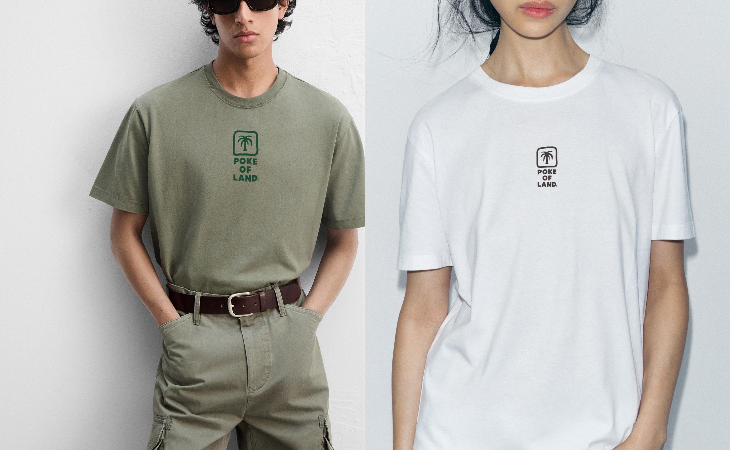 POKE OF LAND01