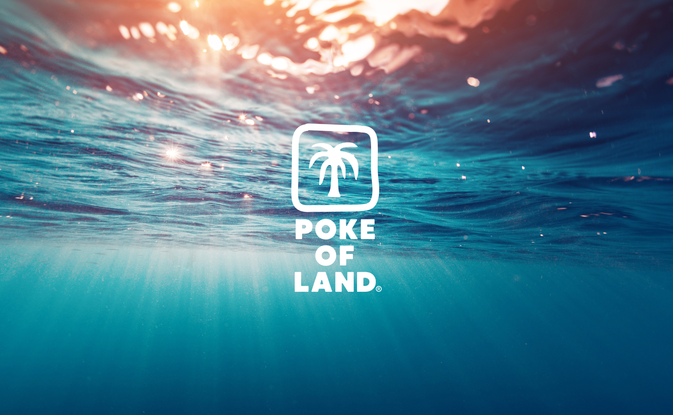 POKE OF LAND06
