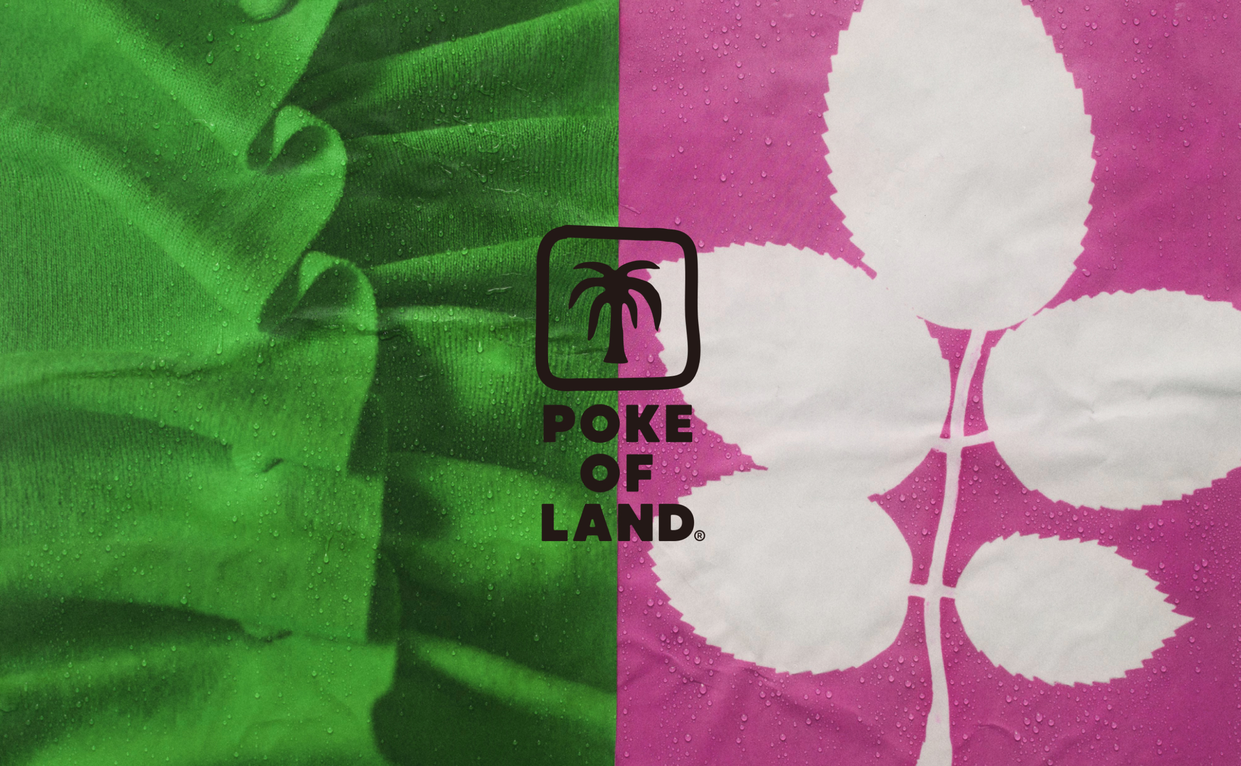 POKE OF LAND07