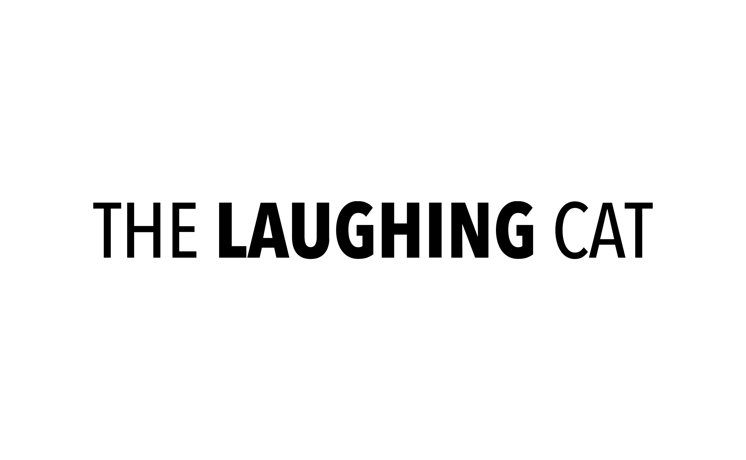 THE LAUGHING CAT
